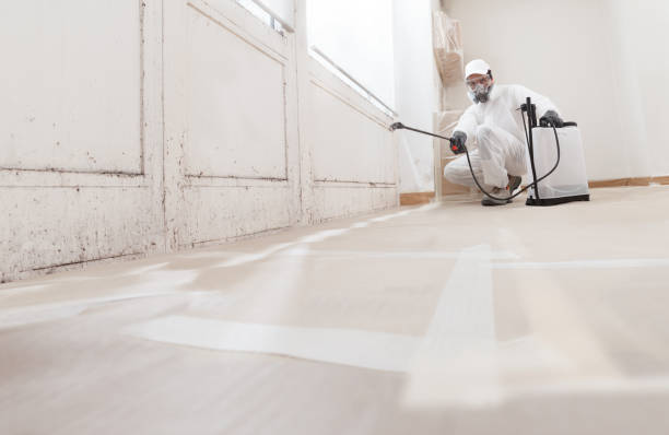 24/7 Emergency Mold Remediation experts in Belleville, NJ