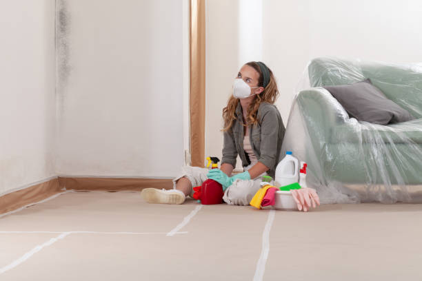 Reliable Mold Remediation contractor in Belleville, NJ by 24 Hour Mold Removal